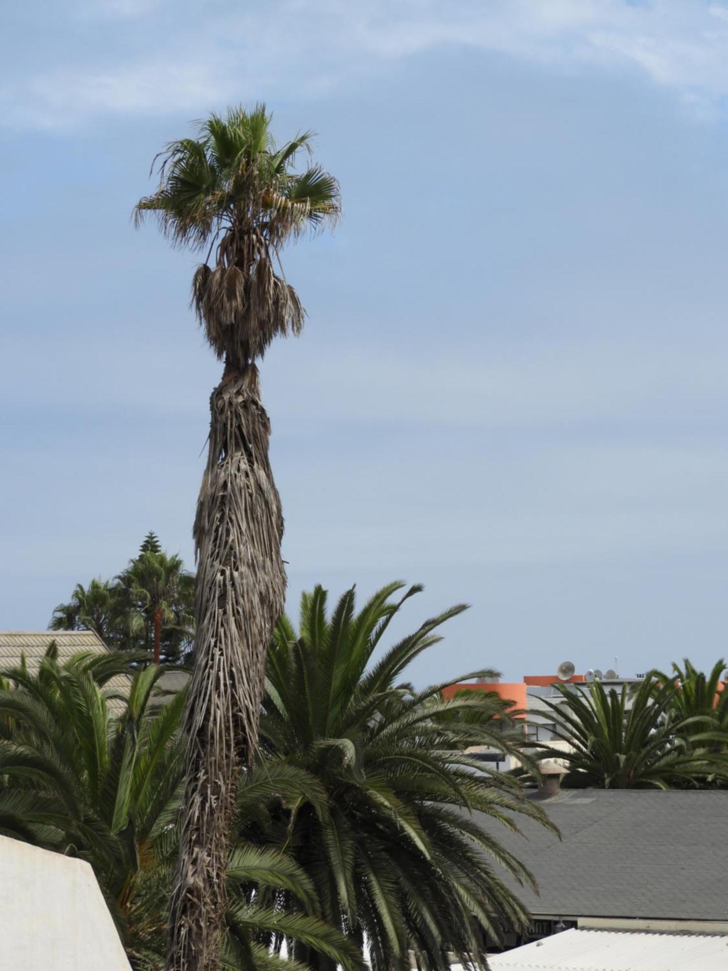 Central Self Catering Swakopmund Zewnętrze zdjęcie